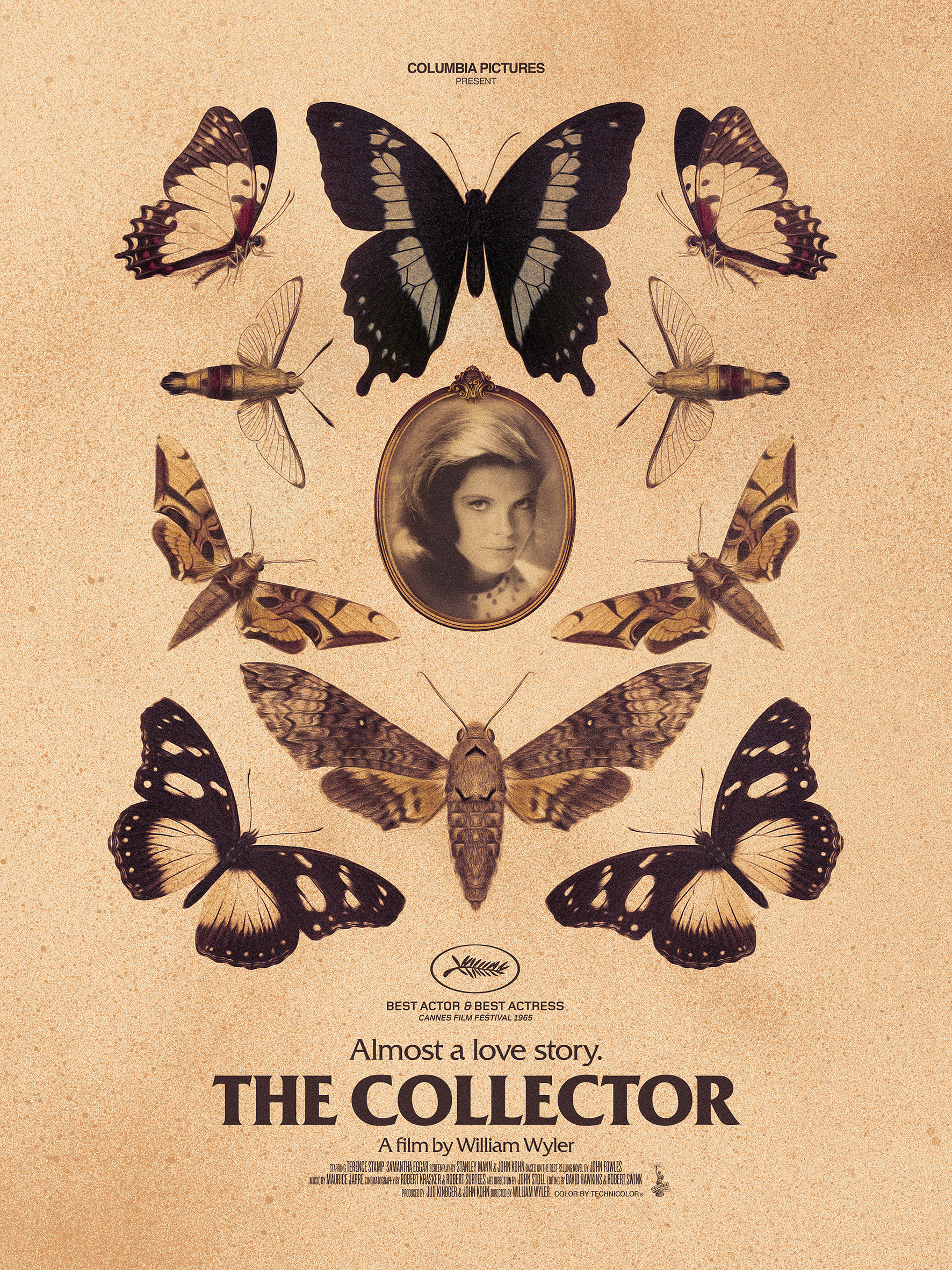 COLLECTOR_2